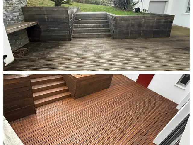 Escalier extérieur et palier bois à l'ombre d'une haie